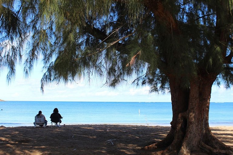 Estudio frente al mar en Seven Seas