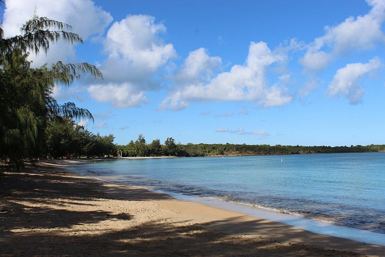 Seven Seas Beachfront Studio for Two