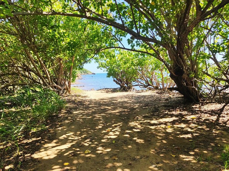 Beachfront Studio in Las Croabas, Fajardo