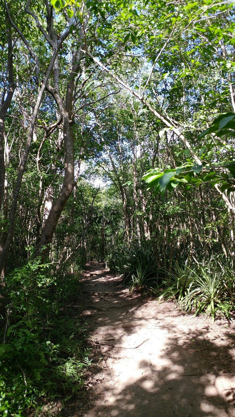 Seven Seas Beach Studio in Fajardo