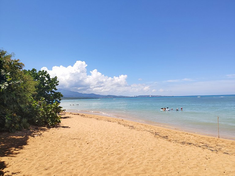 Seven Seas Beachfront Studio for Two