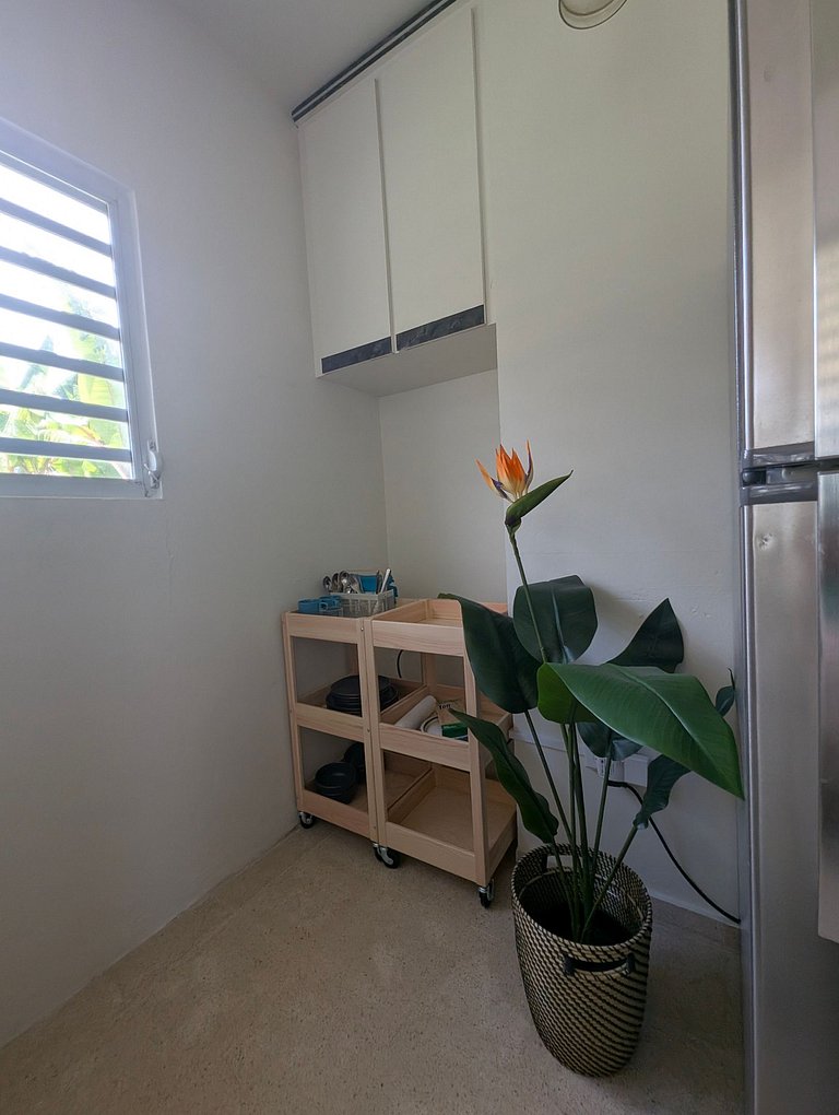 Estudio frente a la playa en Luquillo