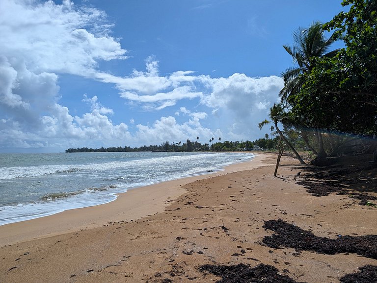 Estudio frente a la playa en Luquillo