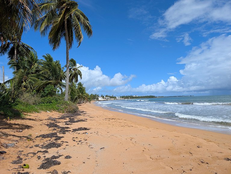 Fortuna’s Coastal Retreat | Luquillo