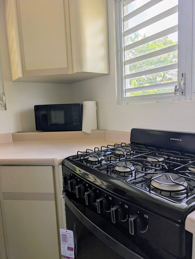Fortuna’s Coastal Retreat | Luquillo