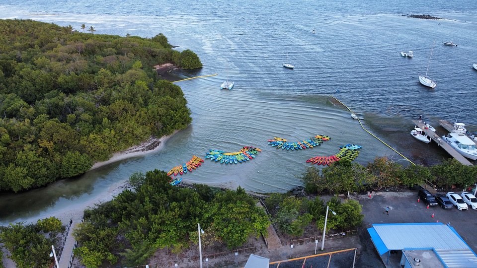 From the Reef to Rainforest: A World of Adventures Awaits